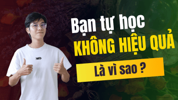 Bạn tự học Tarot không hiệu quả bởi vì bạn chưa có phương pháp học đúng